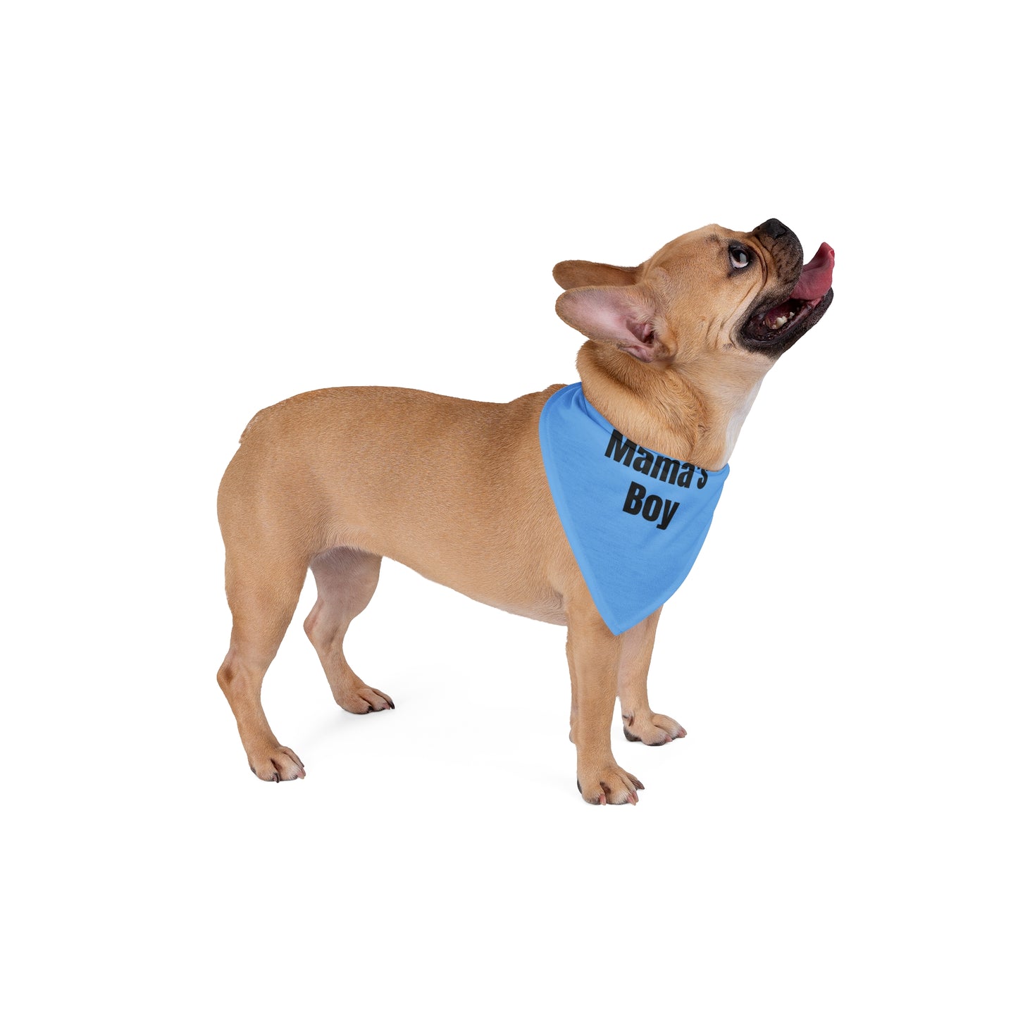 Mama's Boy Pet Bandana - Stylish Blue Dog Accessory